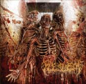 Fleshrot - Traumatic Reconfiguration