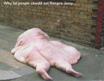 Fat Bungee