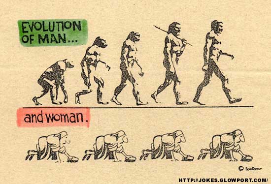 A story of evolution